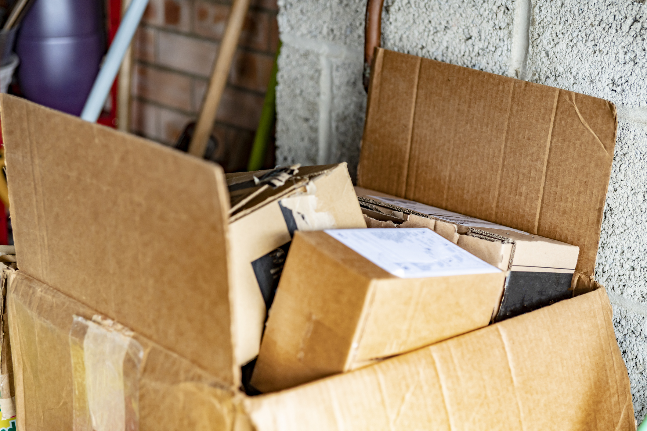 What Happens If You Keep Boxes in a Garage, Exterminators Say