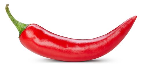 red chili pepper isolated on a white background