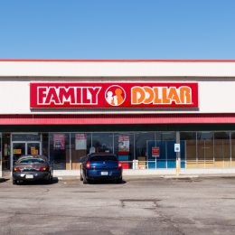 Family Dollar Variety Store. Family Dollar is a Subsidiary of Dollar Tree II