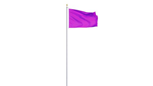 purple flag against a white background