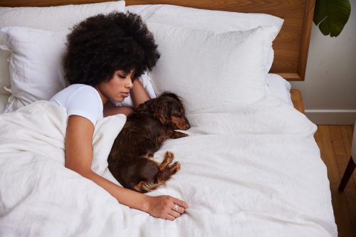 Young African American woman and her cute little dachshund sleeping in bed together in the early morning