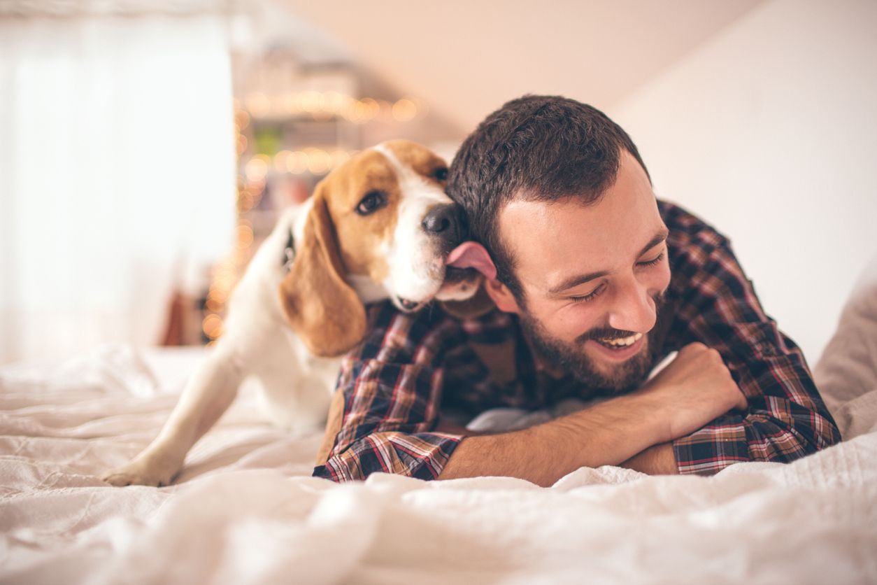 His dog. Хозяин собаки. Собака и человек. Парень с собакой. Домашние питомцы с хозяином.