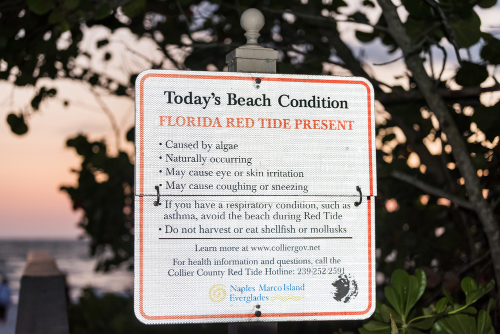 A warning sign posted on the beach by officials in Collier County, Florida warning of red tide and the potential health issues it can cause