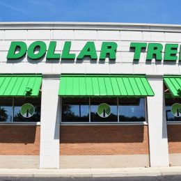 dollar tree store