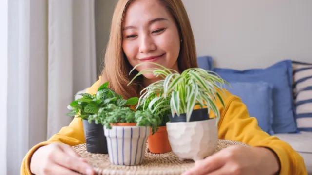 woman with houseplants