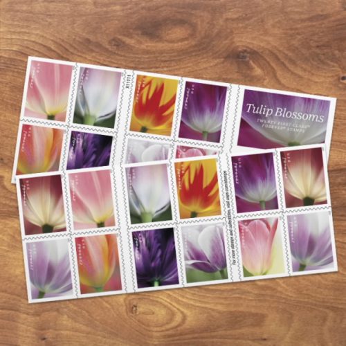 Tulip Stamps New Forever Stamps from the USPS