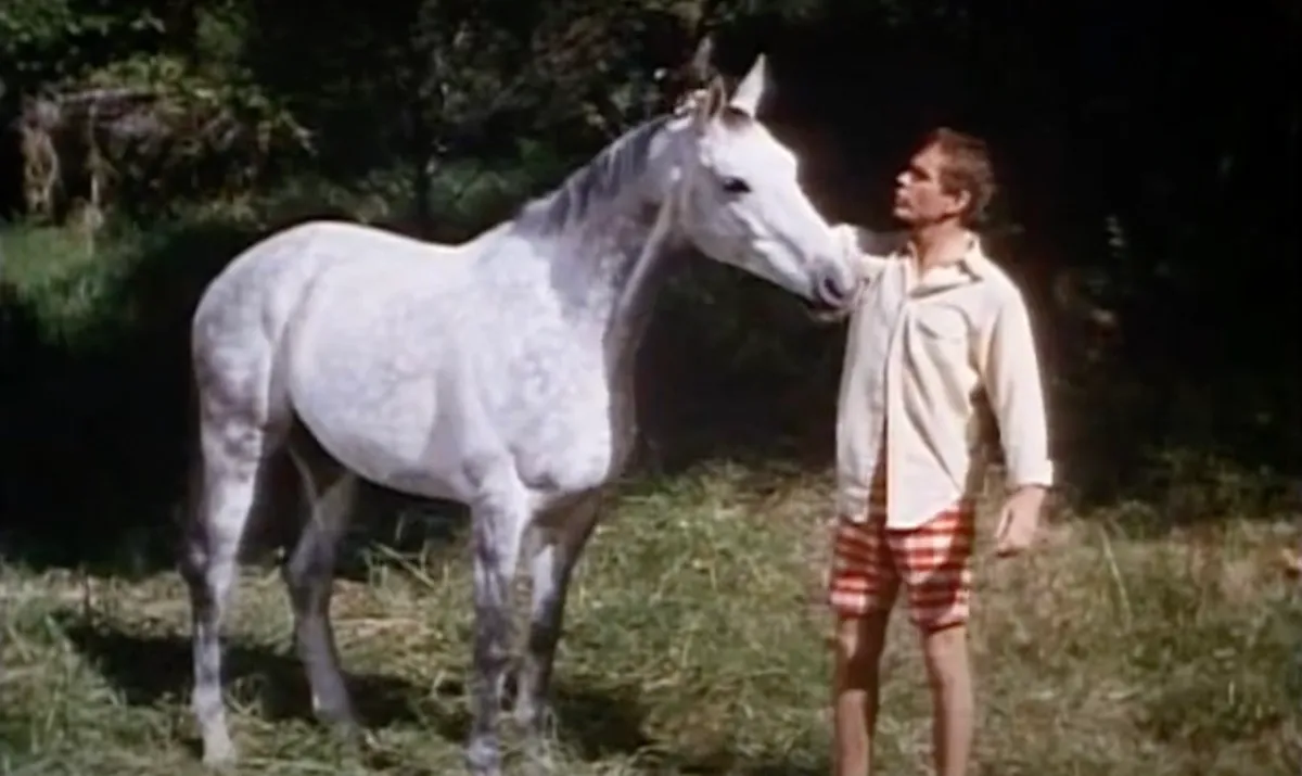 Still from The Horse in the Gray Flannel Suit