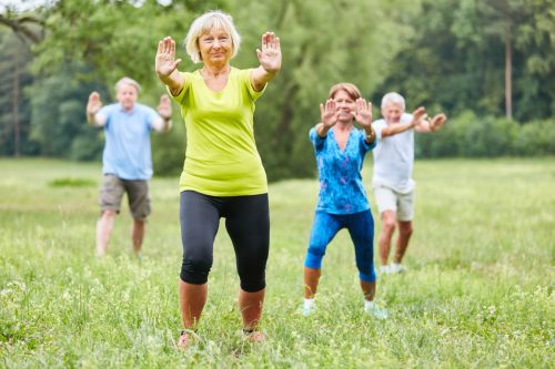 Seniors do Qi Gong or Tai Chi exercise in a wellness course in nature