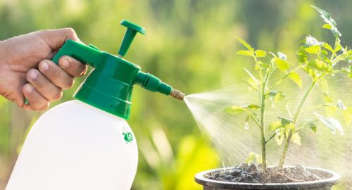 Garden water spray bottle