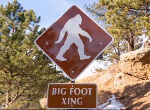 A Bigfoot Crossing road sign in the wilderness