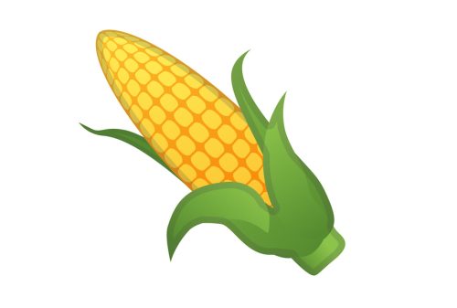 corn on the cob emoji