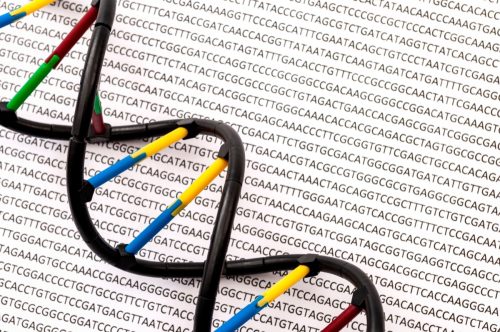 DNA double helix and genome sequence concep
