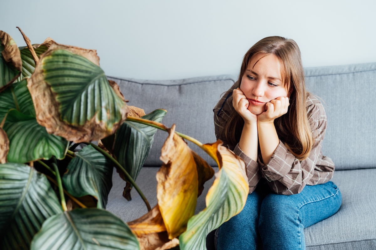 A young woman sitting on her couch looking sad and staring at a big, dead houseplant.