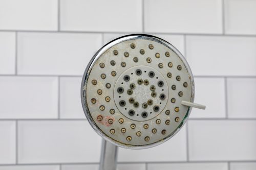 Dirty shower head in bathroom. Household chores, cleaning and housekeeping concept