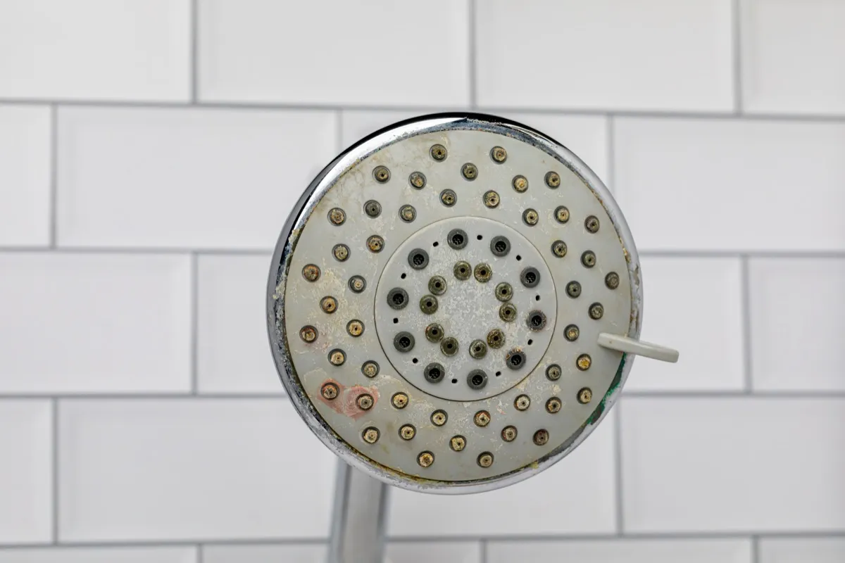5 Signs You Need to Clean Your Shower Head — Best Life