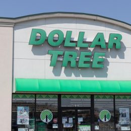 dollar tree store