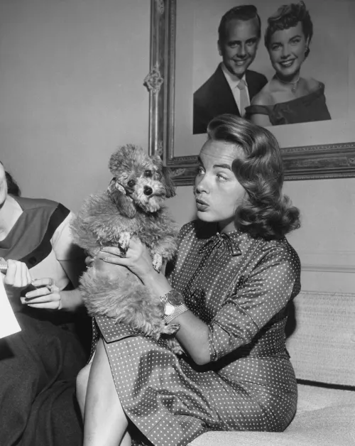 Terry Moore holding a dog circa 1950