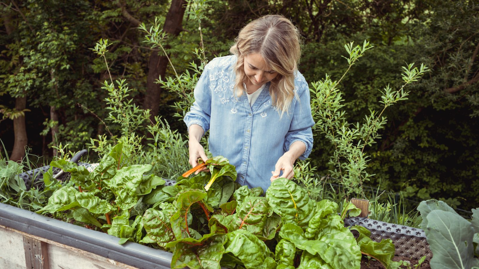 The 5 Best Vegetables to Plant for Beginners — Best Life