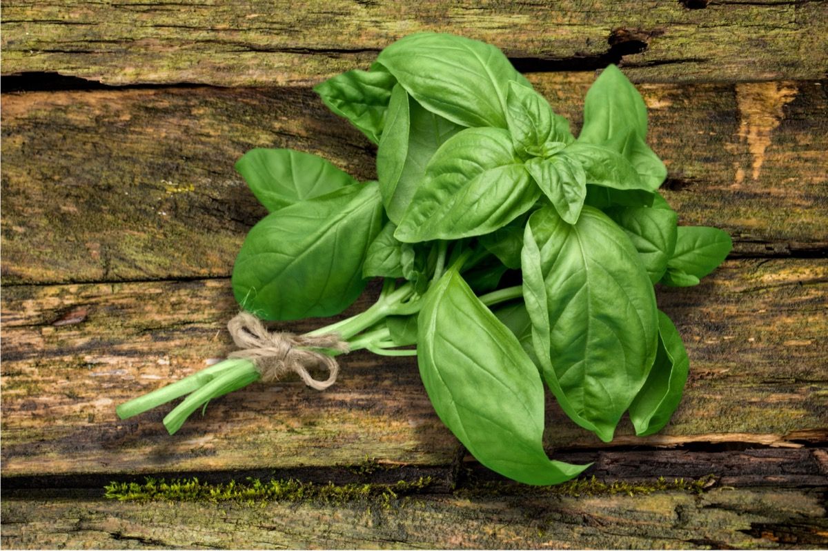 5 Herbs That Attract Good Luck Experts Say Best Life