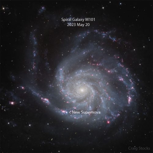 new supernova in galaxy M101