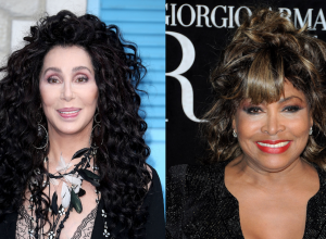 Cher in 2018; Tina Turner in 2010