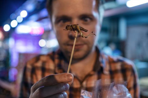 young male eating cricket at night market in Thailand.
