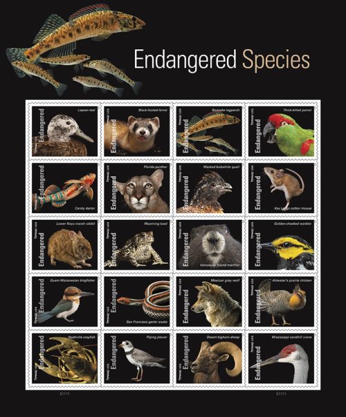 endangered species usps stamps collection