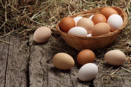 eggs in a basket representing one of the most popular english idioms in use