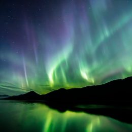 The Northern Lights in the sky above hills on a coastline