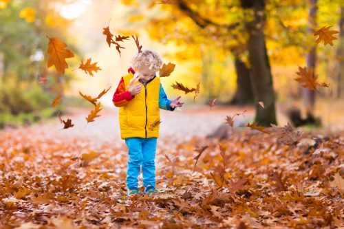 little kid playing in autumn foliage