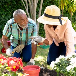 Senior African American couple spending time in their garden on a sunny day, planting flowers.
