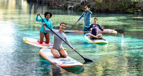 A multi-ethnic group of four people on stand up paddleboards, wearing long-sleeve swimsuits