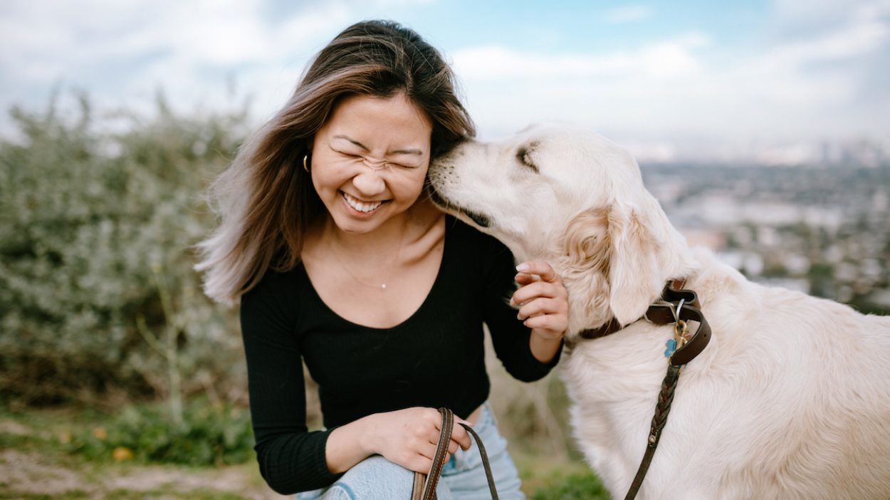 The Best Dog Breed for Your Zodiac Sign — Best Life
