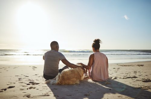 Hãy thư giãn, cún cưng và hạnh phúc với một cặp đôi trên bãi biển trong một kỳ nghỉ yên tĩnh, mùa hè và hoàng hôn.  Yêu thương, hỗ trợ và đi du lịch với đàn ông và phụ nữ có thú cưng bên đại dương vì thiên nhiên, sức khỏe và những cuộc hẹn hò hoặc kỳ nghỉ cùng nhau