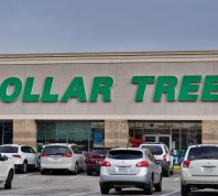 Dollar Tree storefront in Houston, TX with parking lot in foreground. Discount variety store in the USA and Canada.