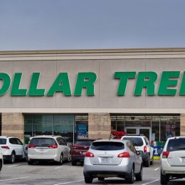 Dollar Tree storefront in Houston, TX with parking lot in foreground. Discount variety store in the USA and Canada.