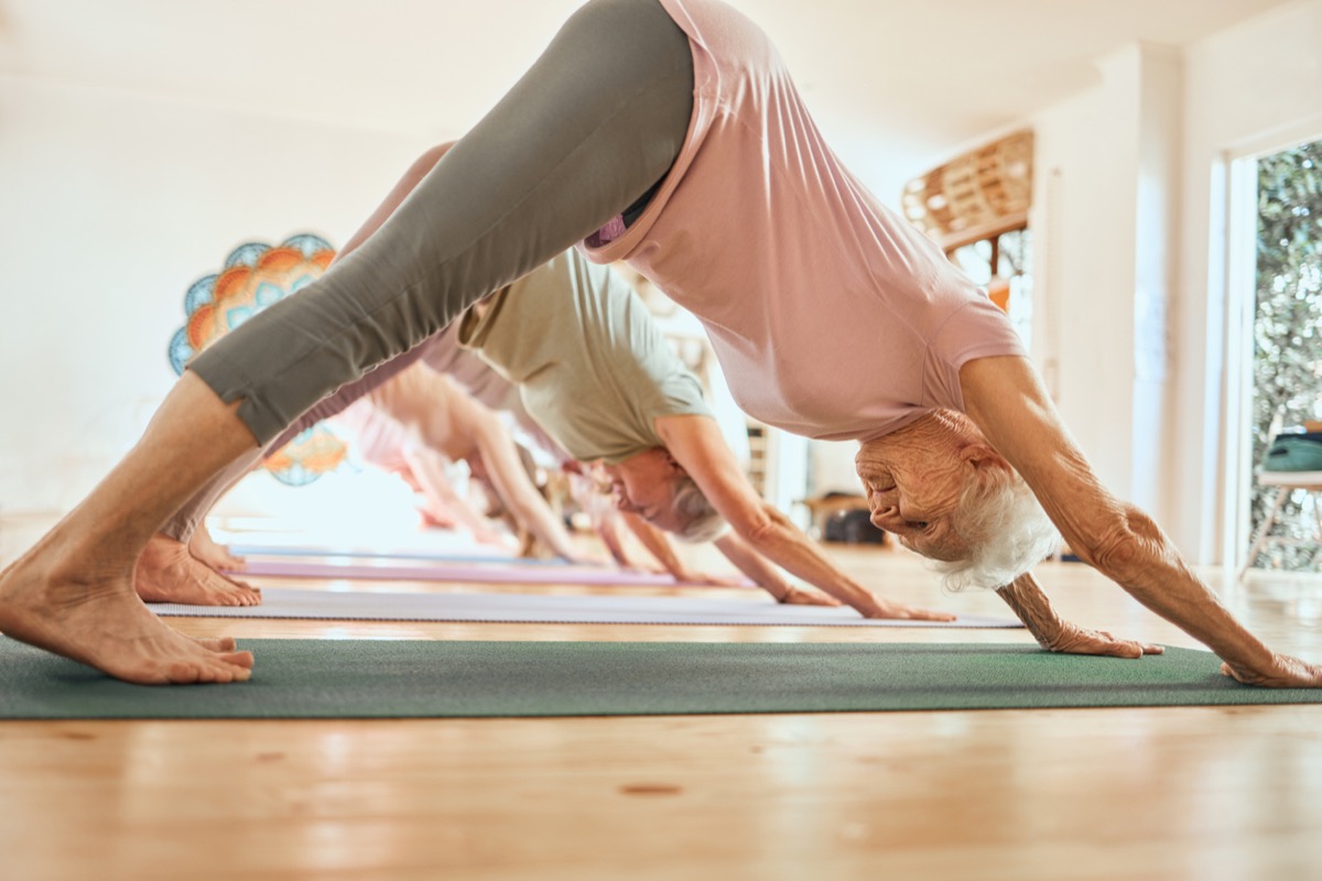 Yoga, aeróbicos, mujeres mayores en el estudio, aula, clase de bienestar, cuidado corporal y fitness.  Ejercicio, Equilibrio, Adiestramiento de Perros Boca Abajo para Ancianos, Pilates y Gimnasio