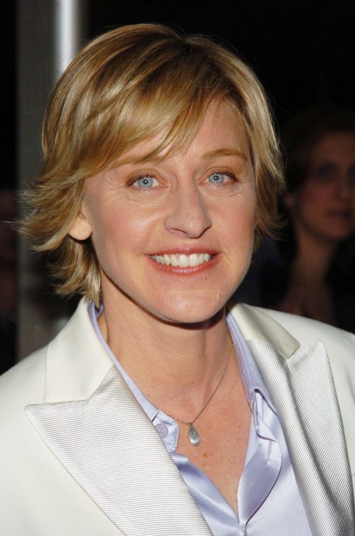 Ellen DeGeneres at the 2004 Daytime Emmy Awards