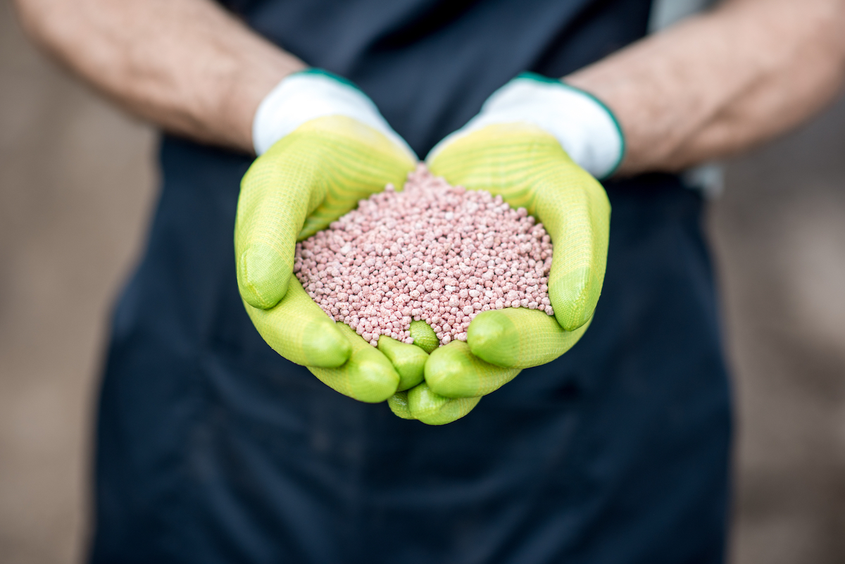 Farmer's hands in the green working gloves holding mineral fertilizers