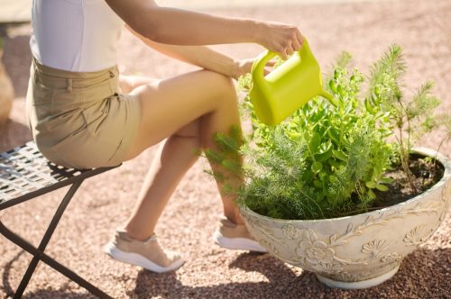 woman wearing shorts and watering plants