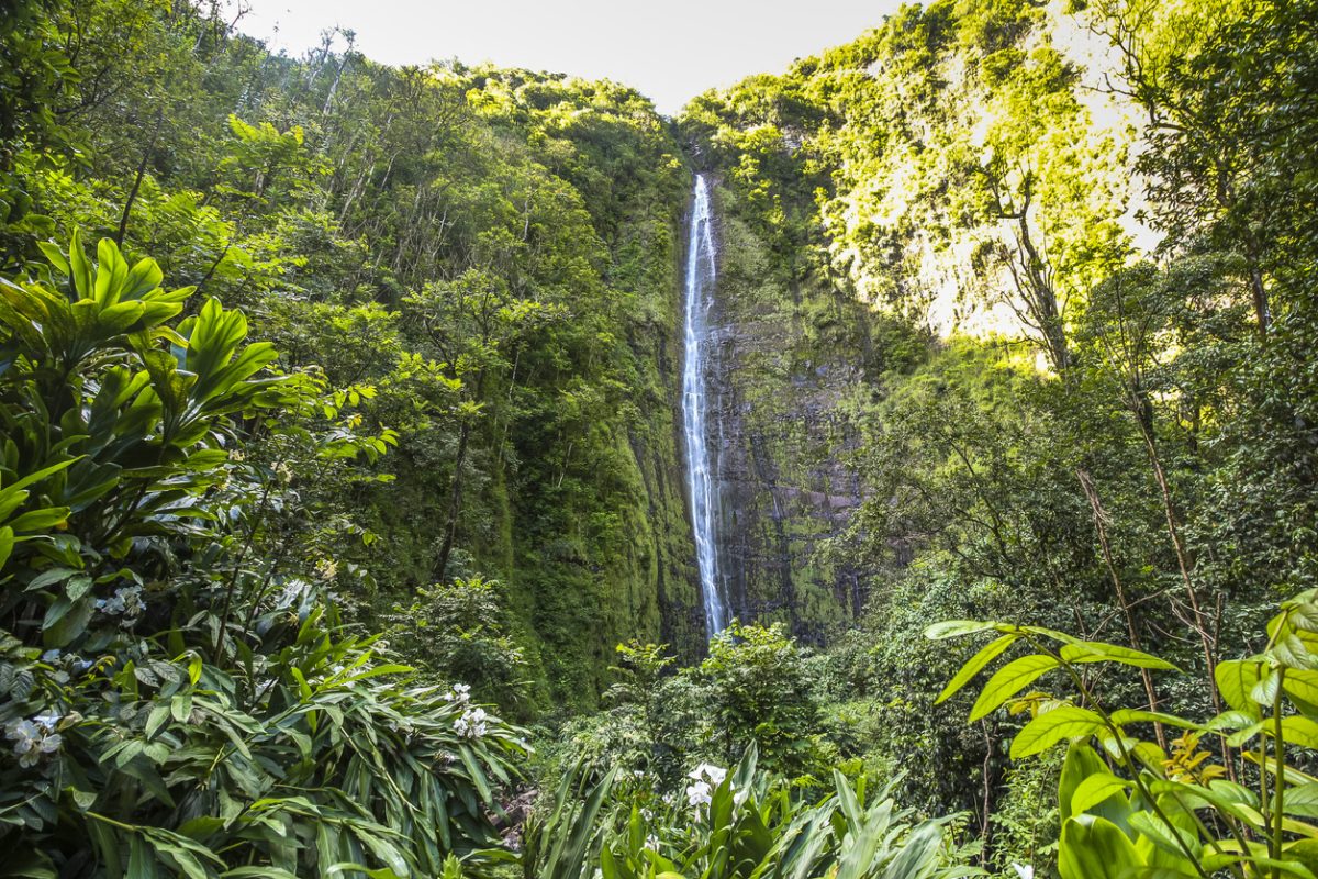 Tall Waimoko Falls on Maui island on Hawaii