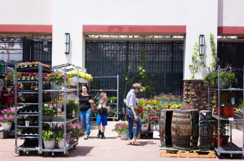 Santa Fe, NM: People shopping for plants outside at Lowe's Garden Center on the outskirts of Santa Fe.