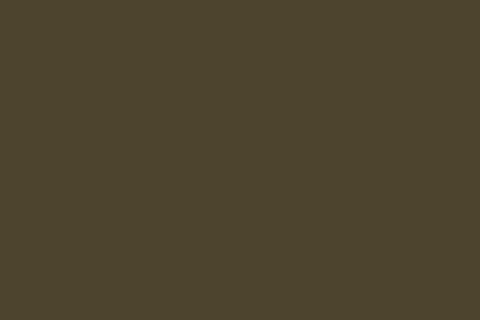 color swatch of opaque couché, Pantone 448 C