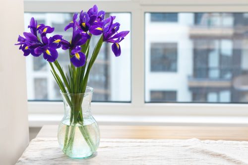 Bouquet of purple irises in a clear glass vase on a linen tablecloth on a wooden table by the window in a modern bright kitchen