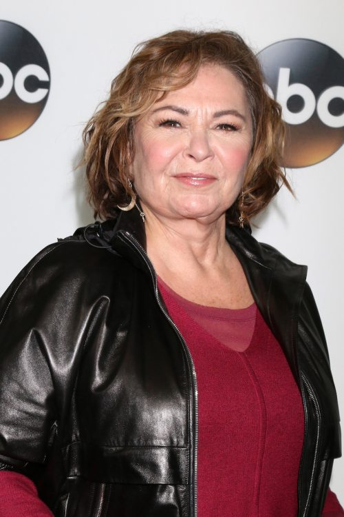 Roseanne Barr at the ABC TCA Winter 2018 Party