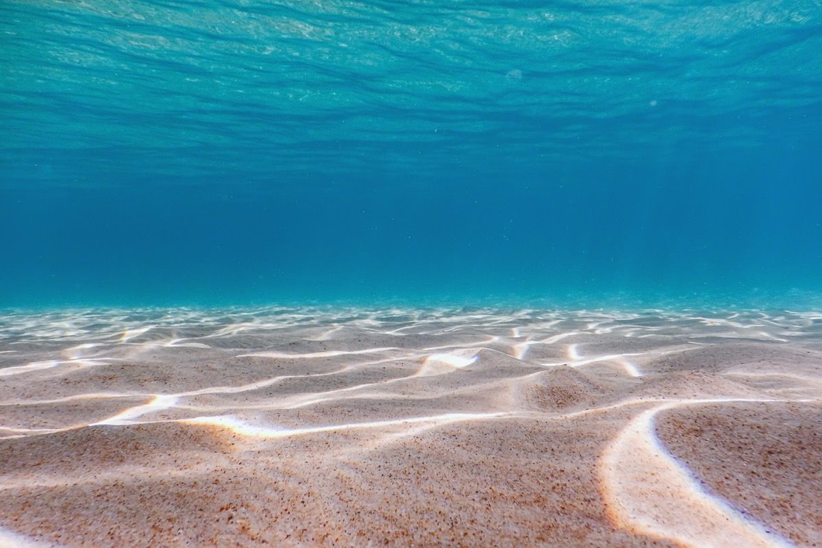 40 Ocean Facts That Will Blow You Out of the Water — Best Life