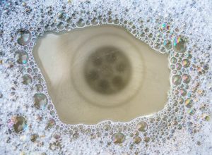 Kitchen sink does not drain, clogged!