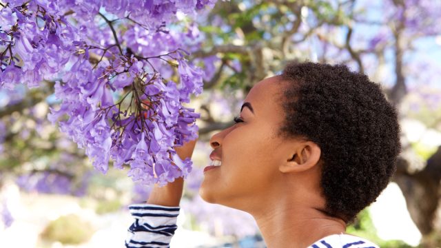Portrait of young woman smelling purple flowers on tree