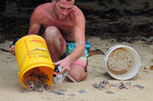 Man Emptying Bucket on Island
