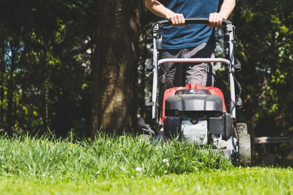 Man using lawnmower to cut his lawn on a sunny day.